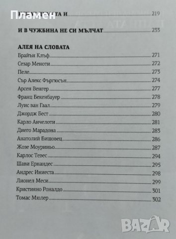 Футболно меле Стефан Янев, снимка 5 - Други - 41391489