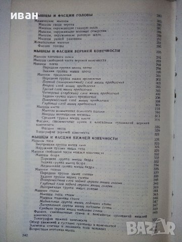 Анатомия Человека 1 и 2 том - Е.Борзяк,Л.Волкова,Е.Доброволская,В.Ревазов,М.Сапин - 1993г., снимка 6 - Специализирана литература - 38687965