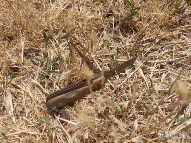 Продавам старо сгъваемо ножче GERLACH WW2, снимка 5 - Ножове - 41632412