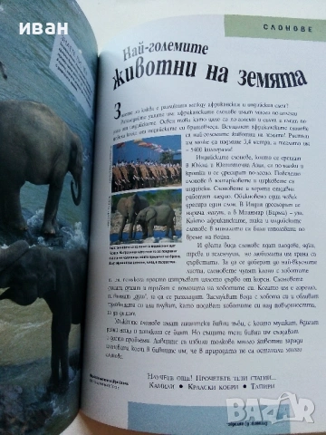 Библиотека Знание том 1 - Чудесата на дивата природа - 2006г., снимка 5 - Детски книжки - 53430092