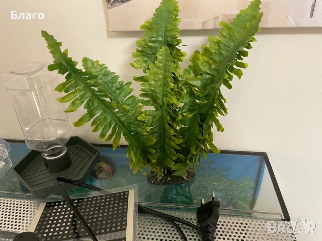 Терариум за гекон/гущер 60х30х30 с 2 нагреватея, купички и укрития, снимка 3 - Терариуми и оборудване - 53368633