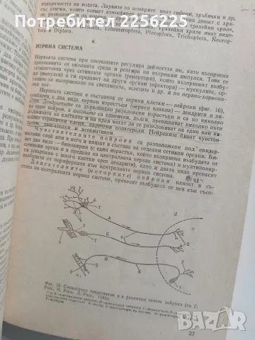 Ентомология - 1988г., снимка 11 - Специализирана литература - 56271410