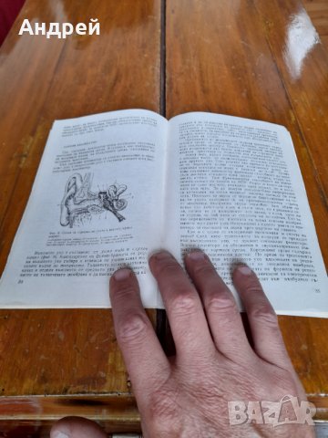 Книга ЗСВА и ДС на водача на МПС, снимка 4 - Други - 34219409