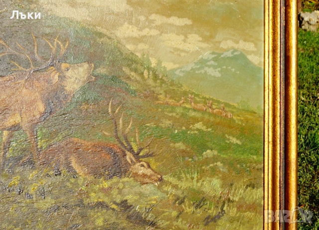 Стара маслена картина Елен,Сърни,победител,подпис. , снимка 3 - Картини - 52159380