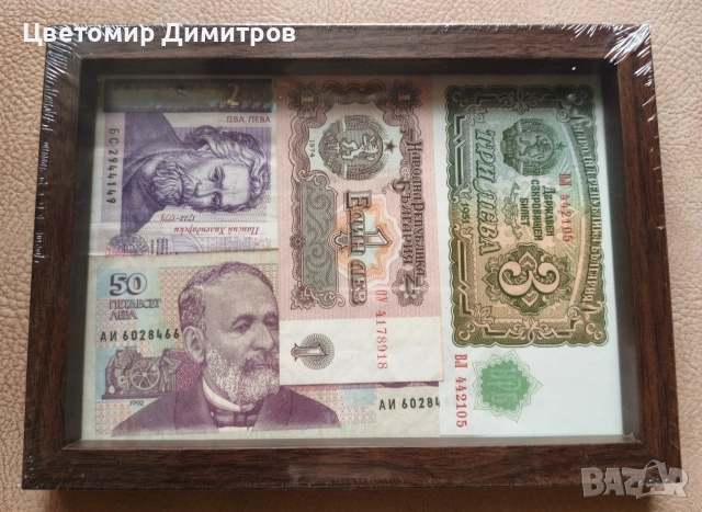 Пано дървото на парите, пано с банкноти , снимка 2 - Пана - 53271641