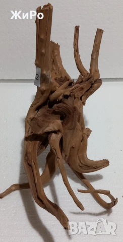 Корен от Азалия /декорация/ 22, снимка 3 - Други - 48936491