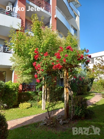 Студио под наем за зимен сезон, снимка 8 - Каравани под наем - 51839436