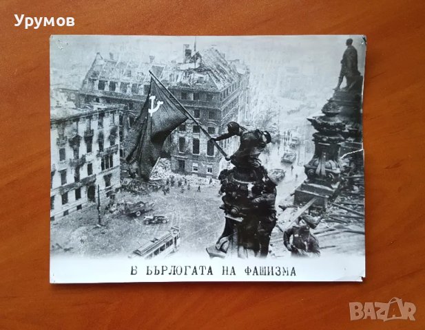 Снимки от Великата Отечествена война – лот от 7 бр., снимка 5 - Други - 48168565