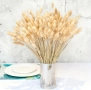 70 стръка заешка опашка декорация на букети ваза изкуствена пампас трева , снимка 2