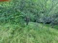 Парцел в регулация Габрово с. Мечковица, снимка 4