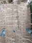 Пластмасови шипове против птици прозрачни 25x3.5x11 см, снимка 3