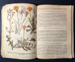 Стара Книга Разпознаване и Събиране на Билки / Борис Китанов, снимка 9