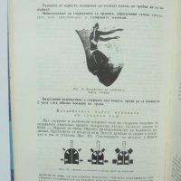 Книга Ръководство по гмуркаческа подготовка - Кирил Лясков 1989 г., снимка 3 - Други - 41385003
