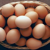 пресни домашни яйца , снимка 1 - Домашни продукти - 44236729