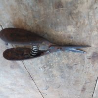 Стара малка ножица, снимка 1 - Антикварни и старинни предмети - 33818219
