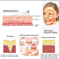 EMS Електрически масаж на лице ,Вибратор за лице за отслабване, Инструмент за красота , снимка 11 - Козметика за лице - 44551331