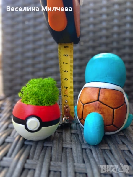 Малък сладък скуъртъл , снимка 1