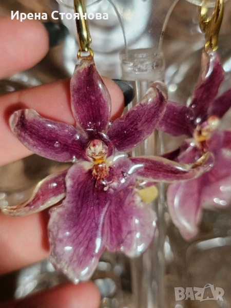 Обеци с естествен цвят на орхидея , снимка 1