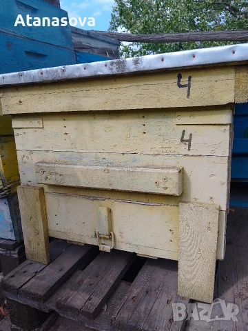 Пчелни кошери от военни сандъци, снимка 3 - Други животни - 53355959