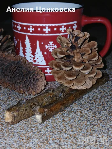 Нова коледна чаша, снимка 1