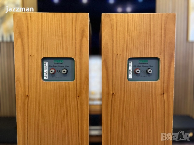 Chario Syntar 200 Tower – Италиански Hi-Fi подови тонколони, снимка 8 - Тонколони - 53797555