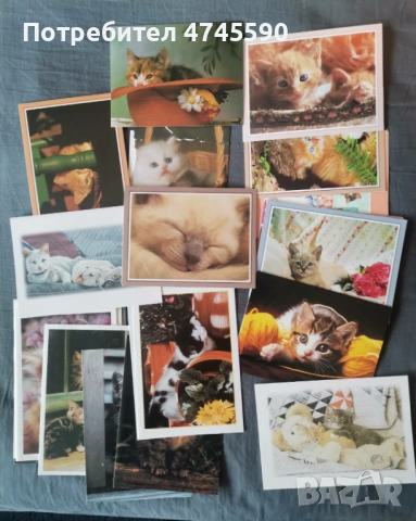 Картички, снимка 2 - Колекции - 53643151