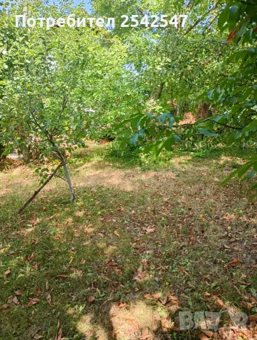 Продавам ПАРЦЕЛ в с.Типченица област Враца , снимка 9 - Парцели - 55648311