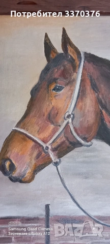 Картина за стена-маслени бои,рамка-дъб, снимка 5 - Картини - 53664071