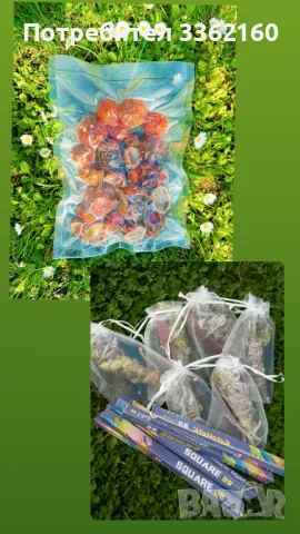 Комплект Червена мухоморка – малки шапки (Amanita muscaria)