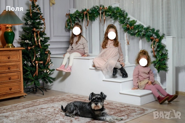 Стълбище, декор за фотосесии, снимка 4 - Фотографи - 53412481