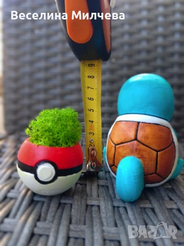 Малък сладък скуъртъл 