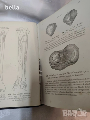 Антикварен медицински атлас по Анатомия (1875 г.) – Dr. Heitzmann, снимка 15 - Антикварни и старинни предмети - 53836569