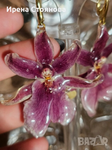 Обеци с естествен цвят на орхидея 