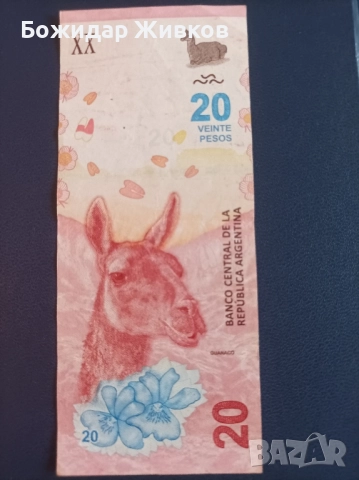 20 песо Аржентина 2017г