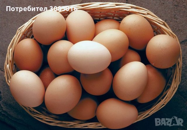 пресни домашни яйца 
