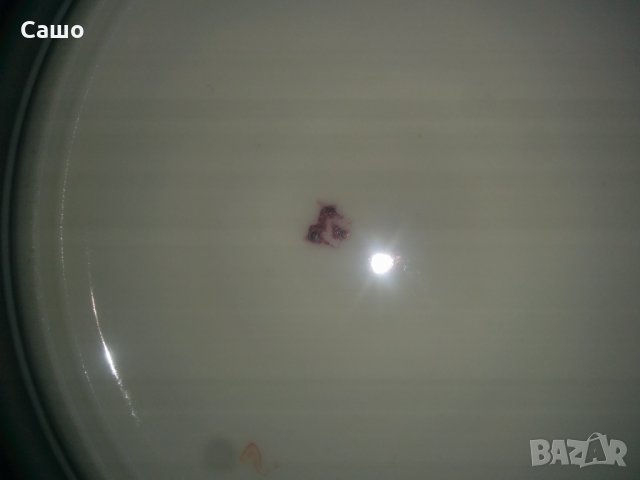 старинен сервиз супник,плоски ,дълбоки,десертни чинии, сосиера , снимка 6 - Сервизи - 35596776