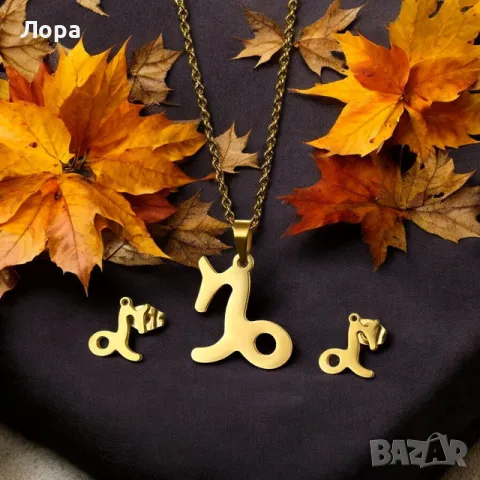 Комплект от неръждаема стомана със зодията - обеци и колие в златисто, снимка 9 - Бижутерийни комплекти - 48114485
