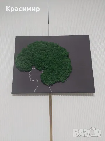 Картина със скандинавски мъх, снимка 2 - Пана - 48643679