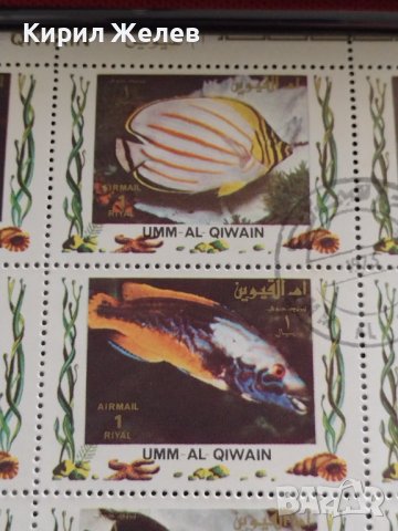 Пощенски марки серия ТРОПИЧЕСКИ РИБИ поща Кувейт много красиви за КОЛЕКЦИЯ 37884, снимка 6 - Филателия - 40476436