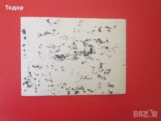 Стара снимка на немски войник 3 Райх Оригинал, снимка 4 - Картини - 36036162