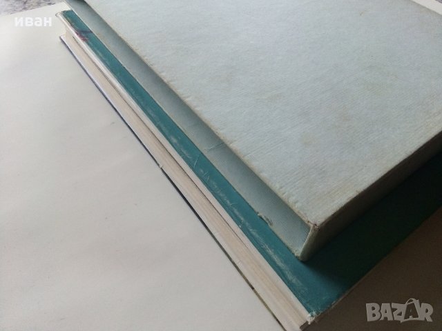 Албум "Die Schönheit der Frau in der europäischen Malerei - Götz Eckardt 1973 г., снимка 9 - Колекции - 35965675