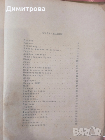 Смели пионери-Никола Фурнаджиев, снимка 3 - Художествена литература - 51498184