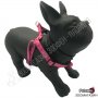 Нагръдник за Куче - Go Get Harness Neoprene - XS, S, M, L - Motivo Rosa - Pet Interest, снимка 2