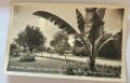 Черно-бяла картичка Бургас Морската градина, снимка 1 - Филателия - 39724444