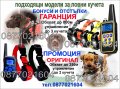 Електронен нашийник за куче, снимка 1 - За кучета - 39713150