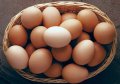 пресни домашни яйца 