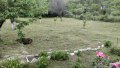Косене на трева и други градинарски услуги - за Бургас и региона, снимка 3