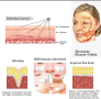 EMS Електрически масаж на лице ,Вибратор за лице за отслабване, Инструмент за красота , снимка 11