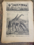 Свят и наука 1934-35 Царство България , снимка 4