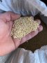 Продавам бяло просо, снимка 2